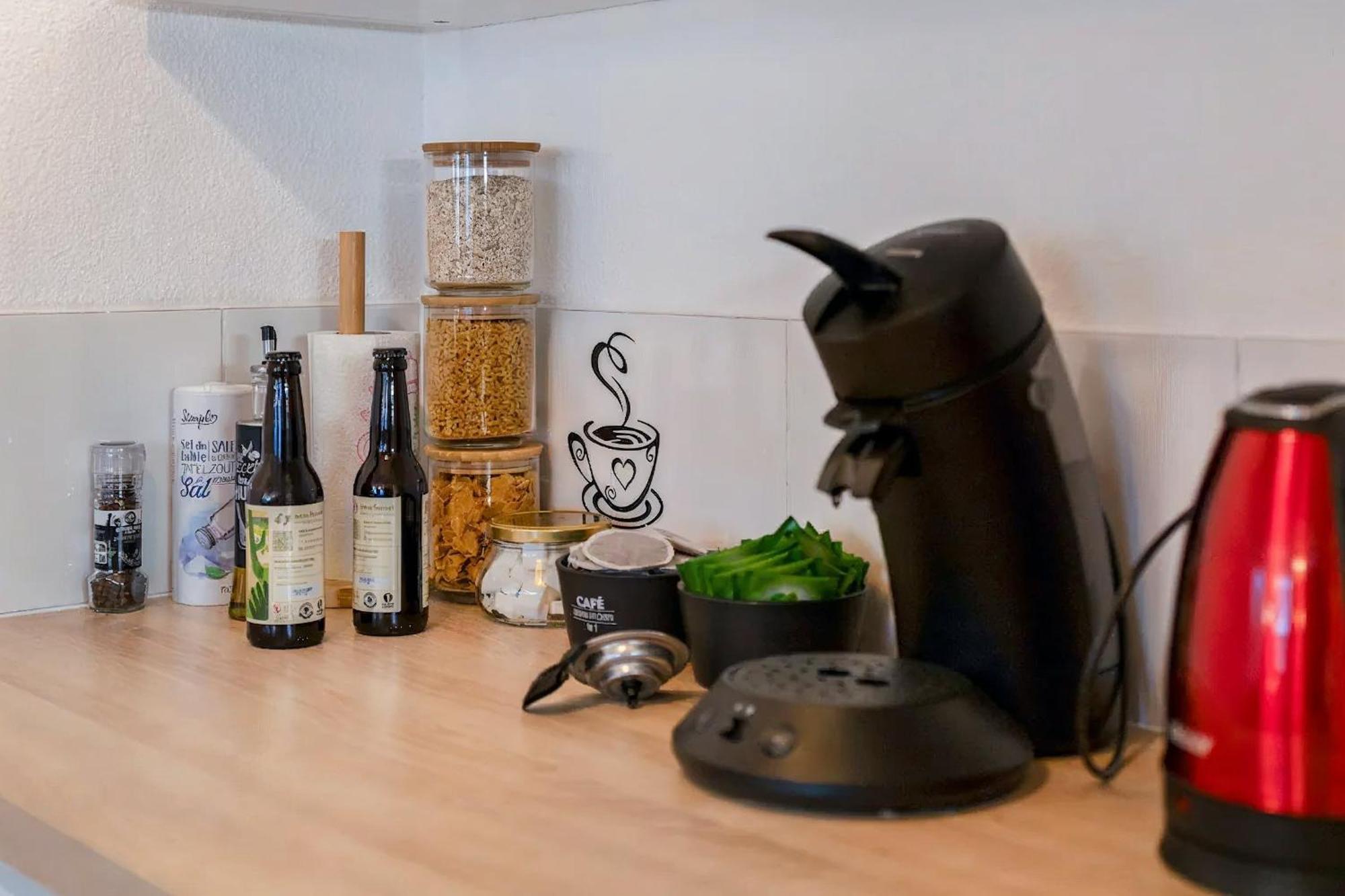 Superbe Appartement - Parking Gratuit - 4 Personnes Chambéry Eksteriør bilde